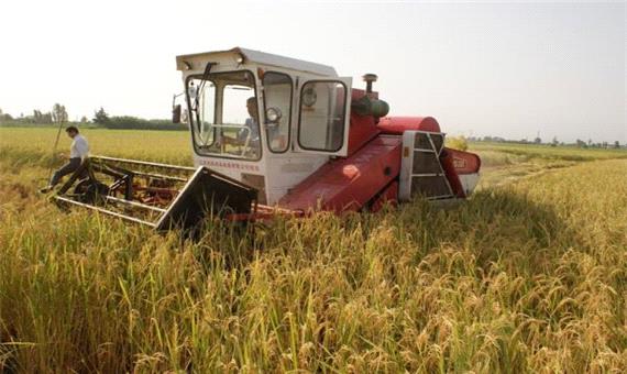 کمباین های چینی برداشت برنج، بی کیفیت هستند