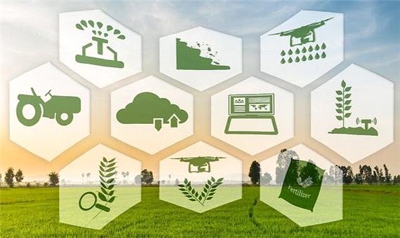 راه اندازی مرکز توسعه کسب و کار حوزه کشاورزی در مازندران