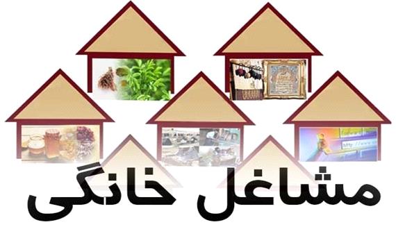 طرح ملی توسعه مشاغل خانگی در 31 استان اجرا شد