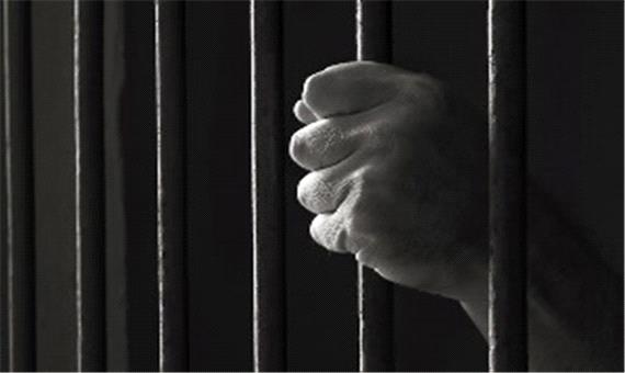 حکم 20 ماه زندان برای یک ایرانی در آمریکا