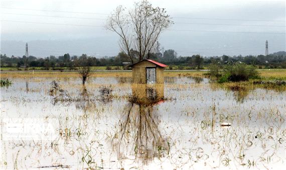سیلاب 22 میلیارد تومان به کشاورزی گلوگاه خسارت زد
