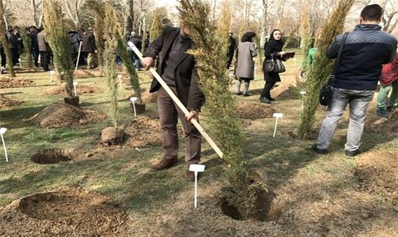 500 هزار اصله نهال با طرح نهضت سبز در مازندران غرس می شود
