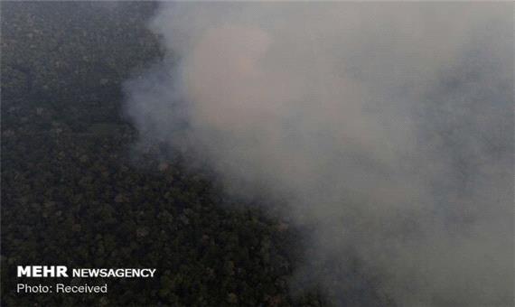 امسال 15 فقره آتش سوزی در جنگل های مازندران رخ داد
