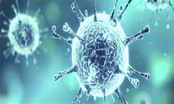 توصیه‌های بهداشتی در پیشگیری از کرونا ویروس