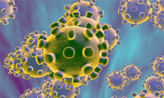 اضطراب ابتلا به ویروس کرونا را زودتر از خود ویروس به خانه‌هایتان نبرید