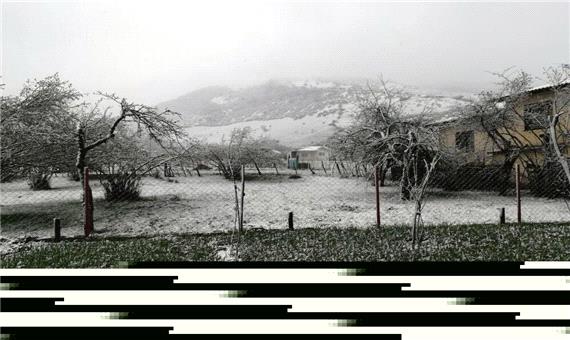 برف بهاری ارتفاعات غربی مازندران را سفیدپوش کرد