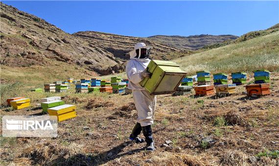 جابه‌جایی زنبورداران در مناطق مختلف مازندران بلامانع شد