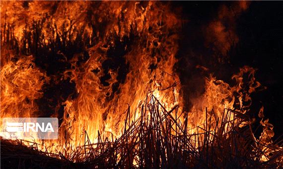 هشدار محیط زیست درباره آتش‌سوزی در جنگل‌ها و مراتع مازندران