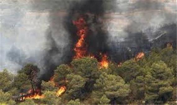 هشدار درباره احتمال آتش‌سوزی در جنگل‌های مازندران