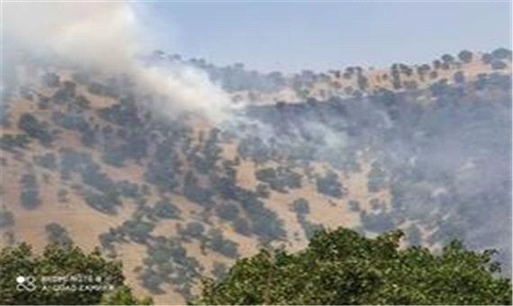 کمیته مدیریت بحران برای مهار آتش سوزی در منطقه بوزین مرخیل پاوه تشکیل شد