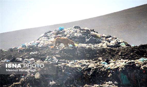 معضل زندگی 14 ساله مردم کیاسر با بوی بد زباله
