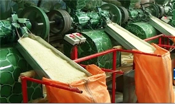 سرمایه‌گذاری 450 میلیارد تومانی دولت برای کاهش ضایعات برنج مازندران