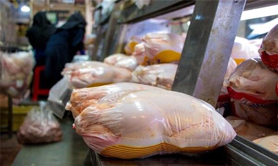 600 تن مرغ در مازندران توزیع می شود