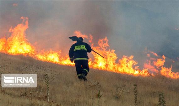 دستگیری 40 متهم آتش‌سوزی جنگل‌های زاگرس