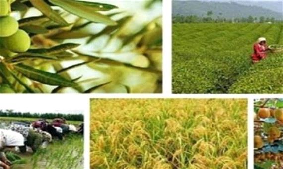 مصرف سموم کشاورزی در مازندران کاهش یافته است