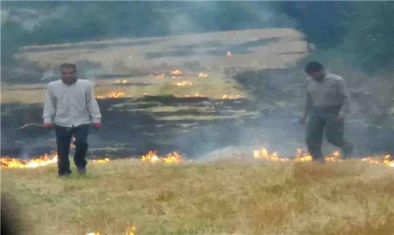 آتش زدن کاه و کلش 7 کشاورز گلوگاهی را به دادگاه کشاند