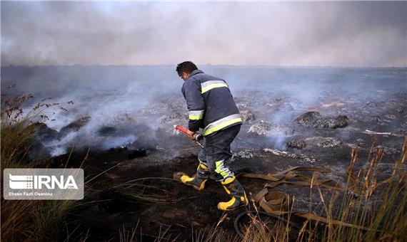 340 هکتار پوشش گیاهی و جنگلی میانکاله در آتش سوخت