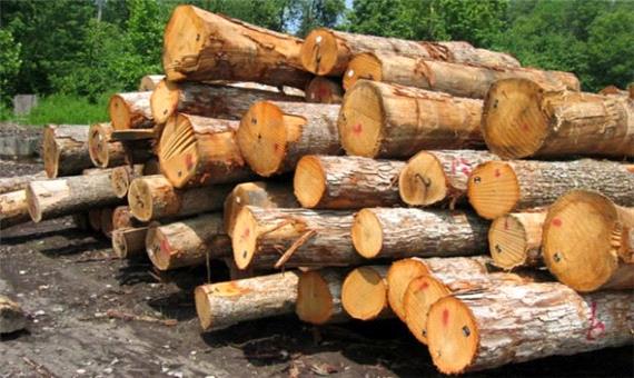 کشف 6 تن چوب قاچاق در شهرستان نور