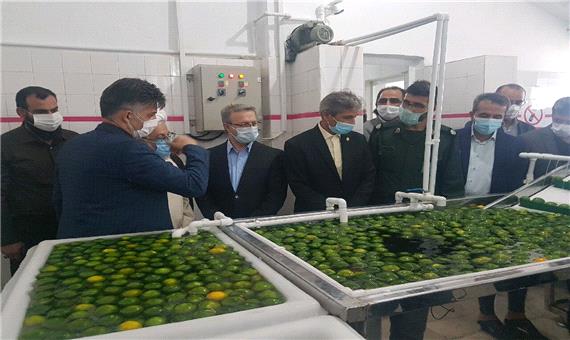 یک واحد بسته بندی محصولات کشاورزی در نوشهر به بهره برداری رسید