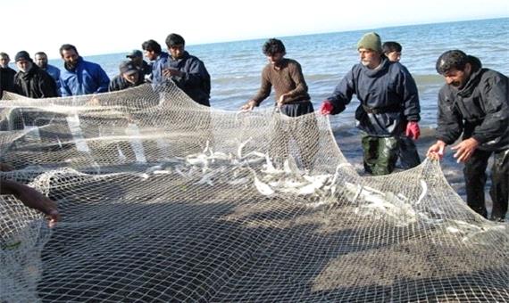 صید ماهیان استخوانی در مازندران آغاز شد