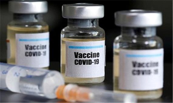 آزمایش واکسن کرونای ایرانی روی میمون