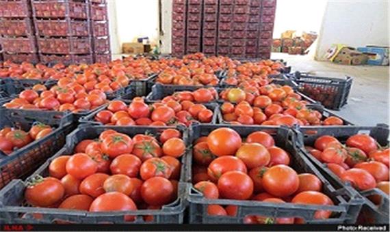 200 کامیون گوجه‌ فرنگی ایران از عراق برگشت خورد