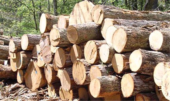 کشف 3 تن چوب جنگلی قاچاق در ساری