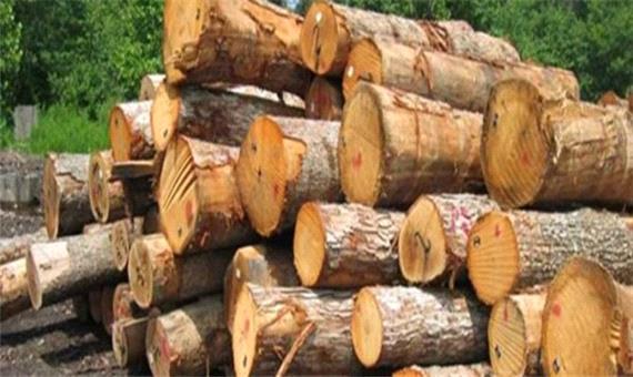 کشف و ضبط 3 تن چوب جنگلی قاچاق در ساری
