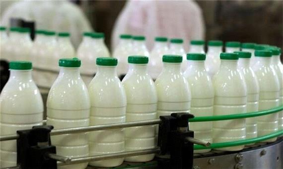 شیر آب شد و قیمت گران/گاوها به دلار شیر می‌دهند