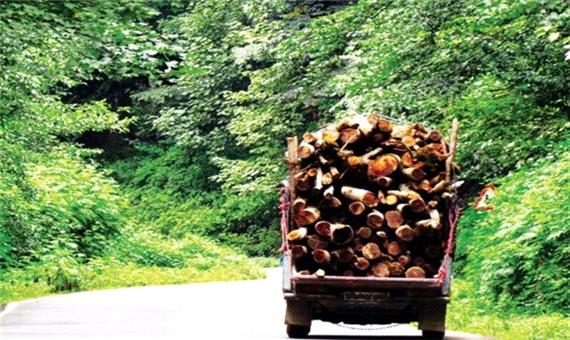 بحران جنگل‌خواری و کوه‌خواری در شمال کشور؛ حال منابع ملی مازندران خوب نیست