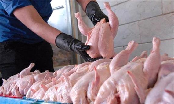 افزایش قیمت گوشت مرغ حاصل بی‌تدبیر دولت است/ با پول یارانه 45 هزارتومانی، یک مرغ می‌توان خرید