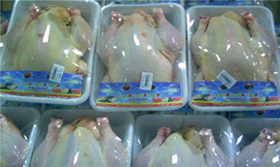آغاز توزیع مرغ منجمد 15 هزار تومانی در مازندران