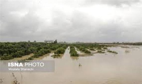 گزارش ایسنا از طوفان 85 کیلومتری در مازندران