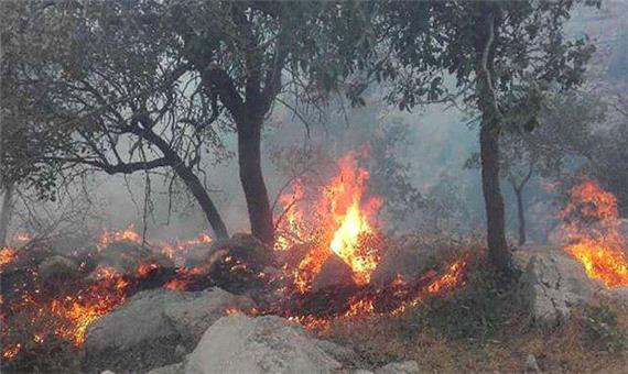 آتش همچنان در جنگل‌های رامسر شعله‌ور است