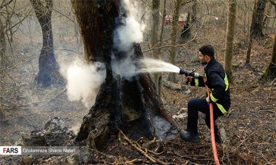 آتش‌سوزی‌های پیاپی در جنگل‌های رامسر/ تلاش نیروهای امدادی بسیج و منابع طبیعی