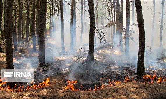 حریق در جنگل‌های هیرکانی و ضرورت آتش‌نشانی جنگل در استان‌های شمالی
