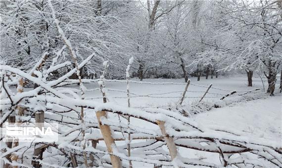 نخستین برف زمستانی به مناطق جلگه‌ای مازندران رسید