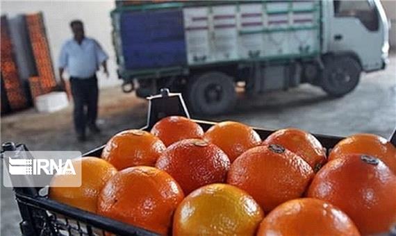 مازندران 21هزار تن پرتقال بازار شب عید کشور را تامین کرد