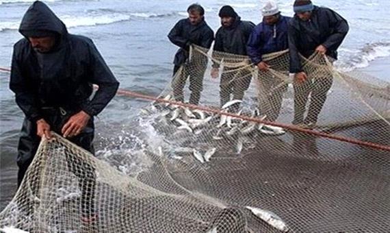 صید 1490 تن ماهی در مازندران
