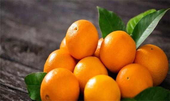 پرتقال مازندران در راه استان‌های کشور
