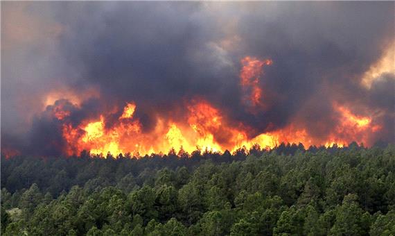رشد 3.5 برابری وسعت آتش‌سوزی عرصه‌های طبیعی غرب مازندران
