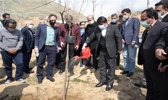 آیین درختکاری پایتخت در شمال تهران شاعرانه شد
