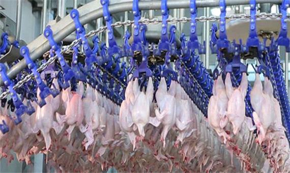 کمبودی در عرضه مرغ وجود ندارد/ ارسال 160 پرونده تخلف به تعزیرات حکومتی مازندران