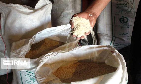 نگرانی شالیکاران مازندران از زمزمه‌های واردات برنج‌ خارجی