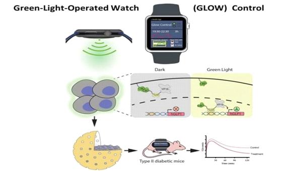 کنترل تولید انسولین با استفاده از نور ال. ایی. دی ساعت هوشمند
