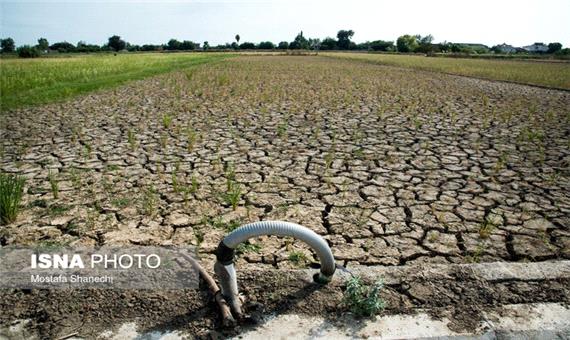 لزوم مدیریت کم آبیاری برای مخاطرات خشکسالی