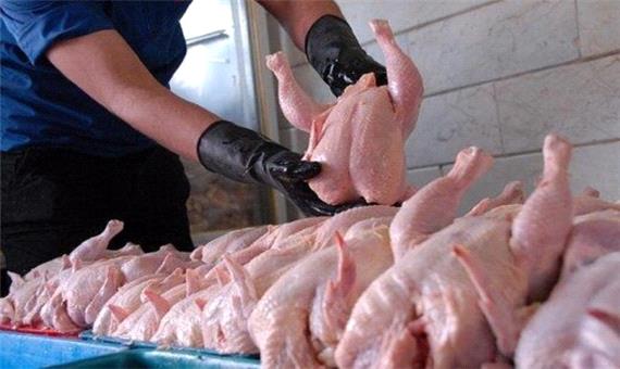 حکایت مرغی که بدون بال از قفس بازار مازندران پرید