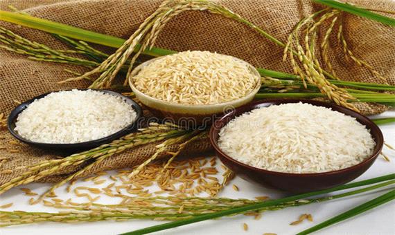 هزینه تولید برنج مازندران 28500 تومان است