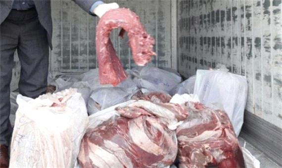 کشف 130 کیلوگرم گوشت فاسد در تنکابن