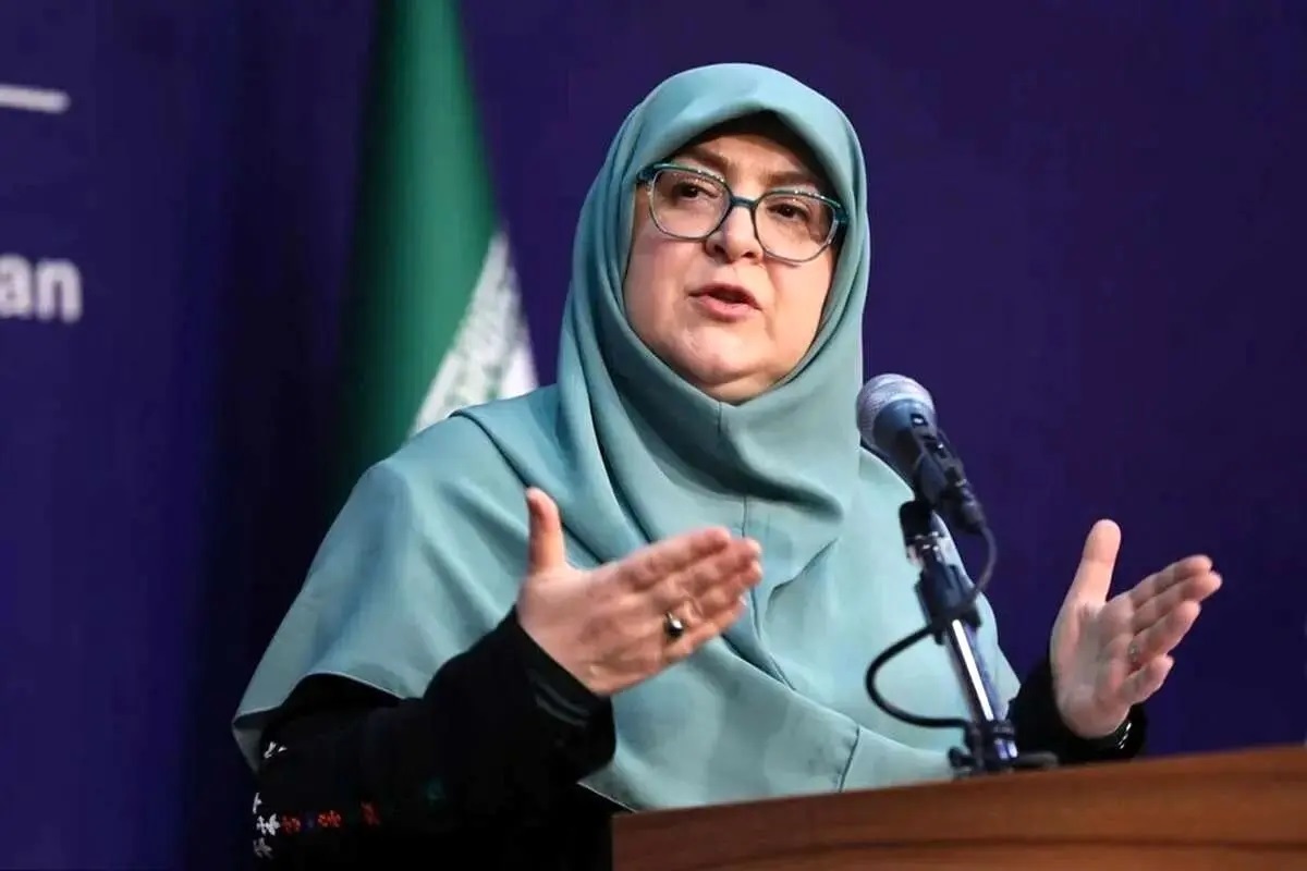 سخنگوی دولت درباره لغو کنسرت همایون شجریان: با توجه به احتمال استقبال وسیع مردم، برخی دستگاه‌ها ملاحظاتی داشتند